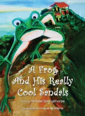 A Frog And His Really Cool Sandals