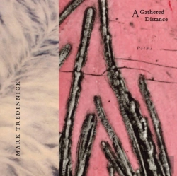 Bertrand.pt - A Gathered Distance: Poems