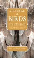 A Gathering Of Birds