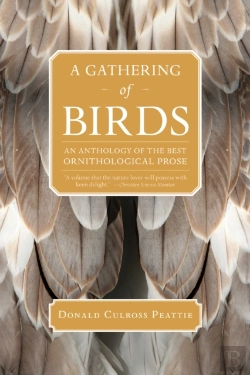 Bertrand.pt - A Gathering Of Birds