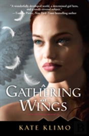 A Gathering Of Wings