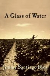 A Glass Of Water