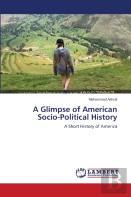 A Glimpse Of American Socio-Political History