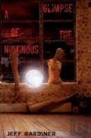 A Glimpse Of The Numinous (Paperback)
