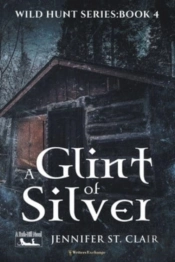 A Glint Of Silver