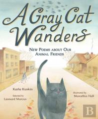 A Gray Cat Wanders