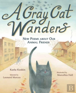Bertrand.pt - A Gray Cat Wanders