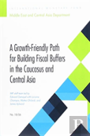 A Growth-Friendly Path For Building Fiscal Buffers In The Caucuses And Central Asia