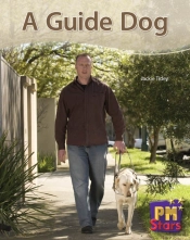 A Guide Dog