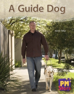 Bertrand.pt - A Guide Dog
