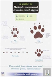 A Guide To British Mammal Tracks And Signs