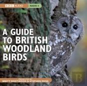 A Guide To British Woodland Birds