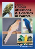 A Guide To Colour Mutations And Genetics In Parrots