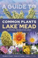 A Guide To Common Plants Of Lake Mead National Recreation Area