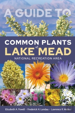 Bertrand.pt - A Guide To Common Plants Of Lake Mead National Recreation Area