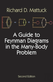 A Guide To Feynman Diagrams In The Many-Body Problem
