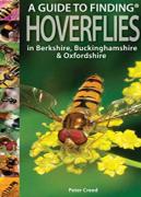 A Guide To Finding Hoverflies In Berkshire, Buckinghamshire And Oxfordshire