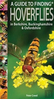 A Guide To Finding Hoverflies In Berkshire, Buckinghamshire And Oxfordshire