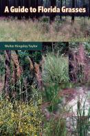 A Guide To Florida Grasses