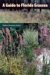 A Guide To Florida Grasses