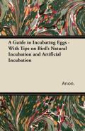 A Guide To Incubating Eggs - With Tips On Birds Natural Incubation And Artificial Incubation