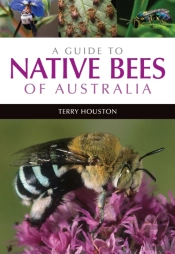 A Guide To Native Bees Of Australia