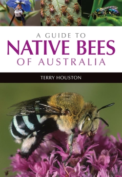 Bertrand.pt - A Guide To Native Bees Of Australia