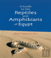 A Guide To Reptiles And Amphibians Of Egypt