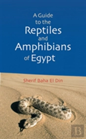A Guide To Reptiles And Amphibians Of Egypt