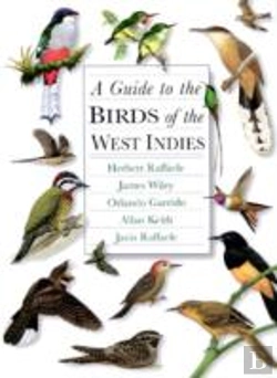 Bertrand.pt - A Guide To The Birds Of The West Indies