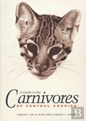 A Guide To The Carnivores Of Central America