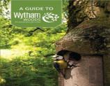 A Guide To Wytham Woods