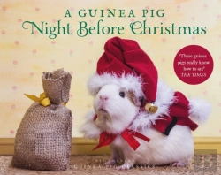 Bertrand.pt - A Guinea Pig Night Before Christmas