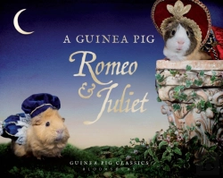 Bertrand.pt - A Guinea Pig Romeo & Juliet