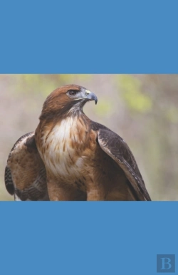 Bertrand.pt - A Hawk'S Journey