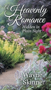 A Heavenly Romance