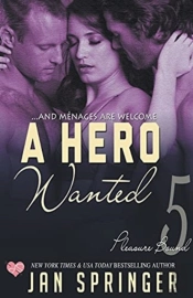 A Hero Wanted