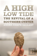 A High Low Tide