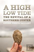 A High Low Tide
