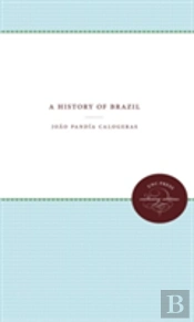 A History Of Brazil