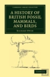 A History Of British Fossil Mammals, And Birds
