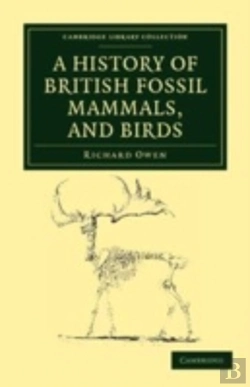 Bertrand.pt - A History Of British Fossil Mammals, And Birds