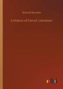 A History Of French Literature