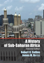 A History Of Sub-Saharan Africa