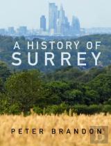 A History Of Surrey