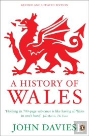 A History Of Wales