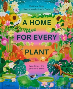 Bertrand.pt - A Home For Every Plant