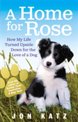 Bertrand.pt - A Home For Rose