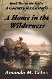 A Home In The Wilderness