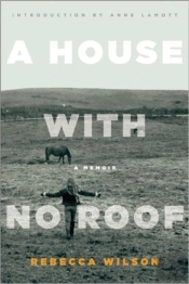 A House With No Roof